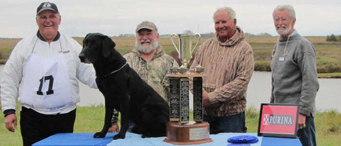 Winner 2016 National Retriever Championship FTCH-AFTCH Ocg's Equalizer and Larry Baker